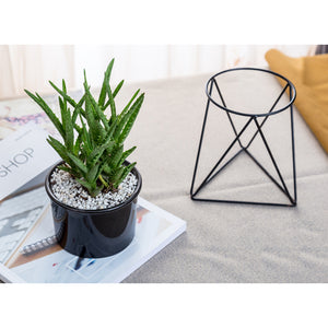 Nordic Style Iron Rack Garden Pot - ModHomeSpace