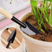 Load image into Gallery viewer, Stainless Steel Mini Gardening Tool Set - ModHomeSpace