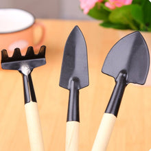 Load image into Gallery viewer, Stainless Steel Mini Gardening Tool Set - ModHomeSpace