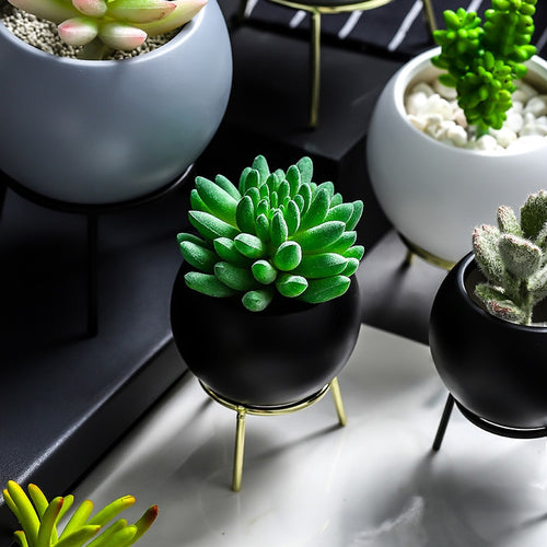 Succulents Planter Flower Ceramic Pot - ModHomeSpace