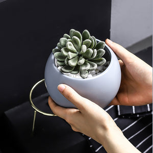 Succulents Planter Flower Ceramic Pot - ModHomeSpace