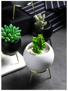 Succulents Planter Flower Ceramic Pot - ModHomeSpace