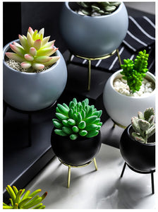 Succulents Planter Flower Ceramic Pot - ModHomeSpace