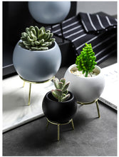 Load image into Gallery viewer, Succulents Planter Flower Ceramic Pot - ModHomeSpace