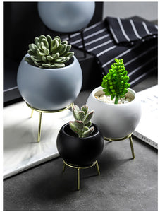 Succulents Planter Flower Ceramic Pot - ModHomeSpace