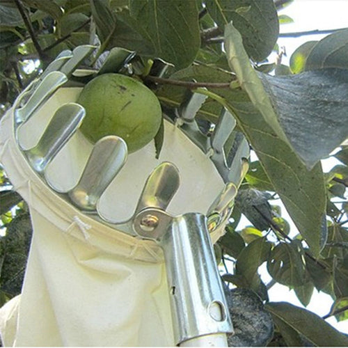 Silver Metal Fruit Picker Tool - ModHomeSpace